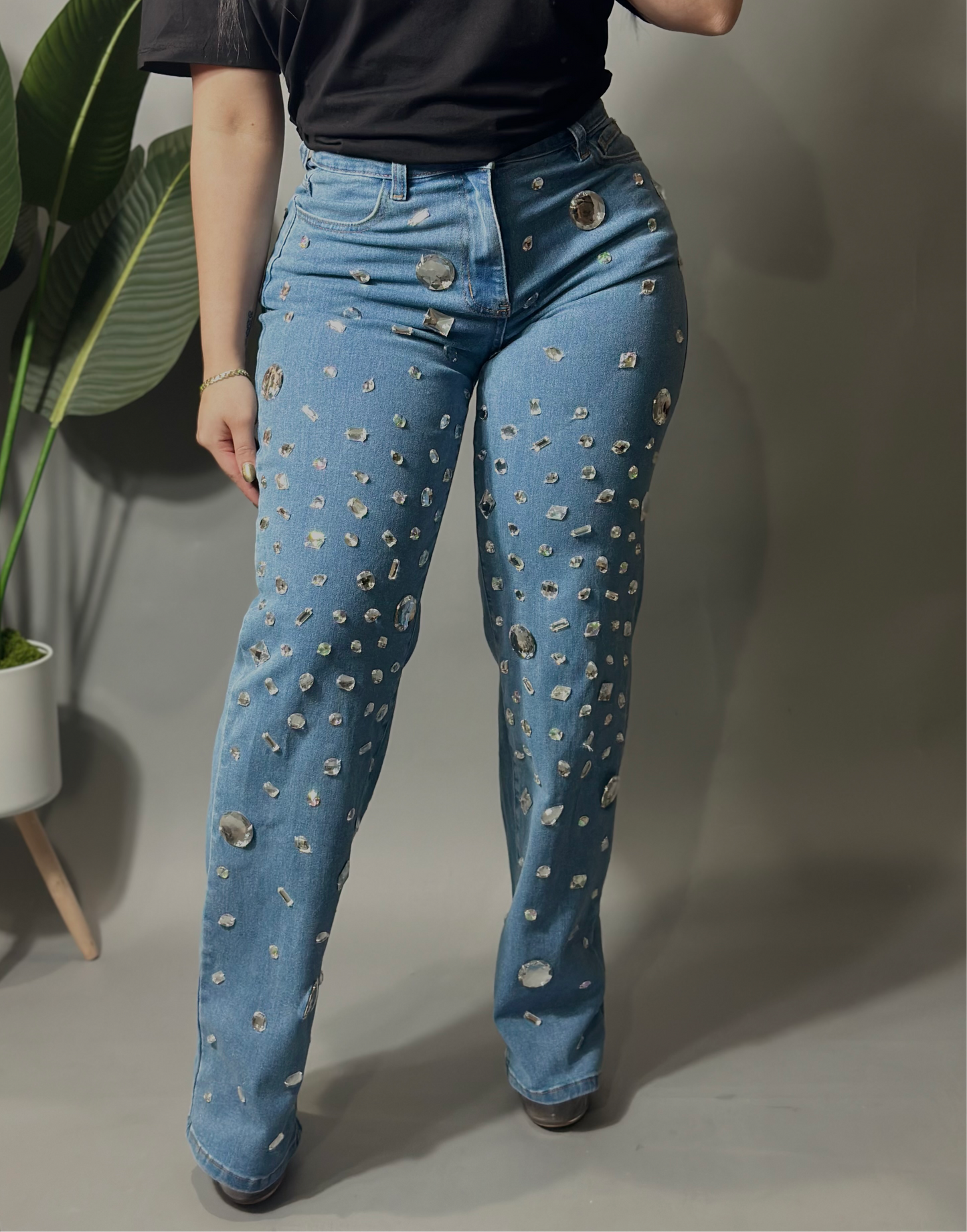 Claudia Diamond Denim Pants