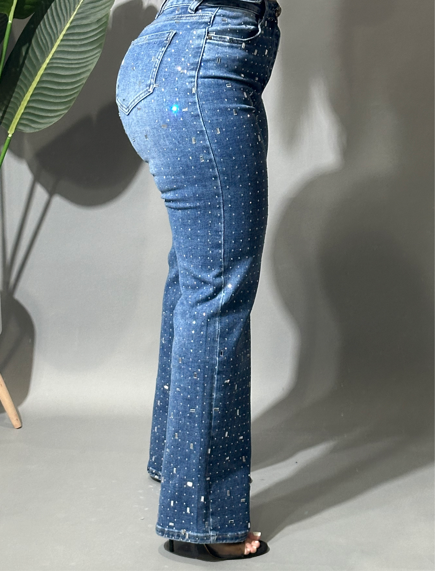 Crystal Denim Jeans