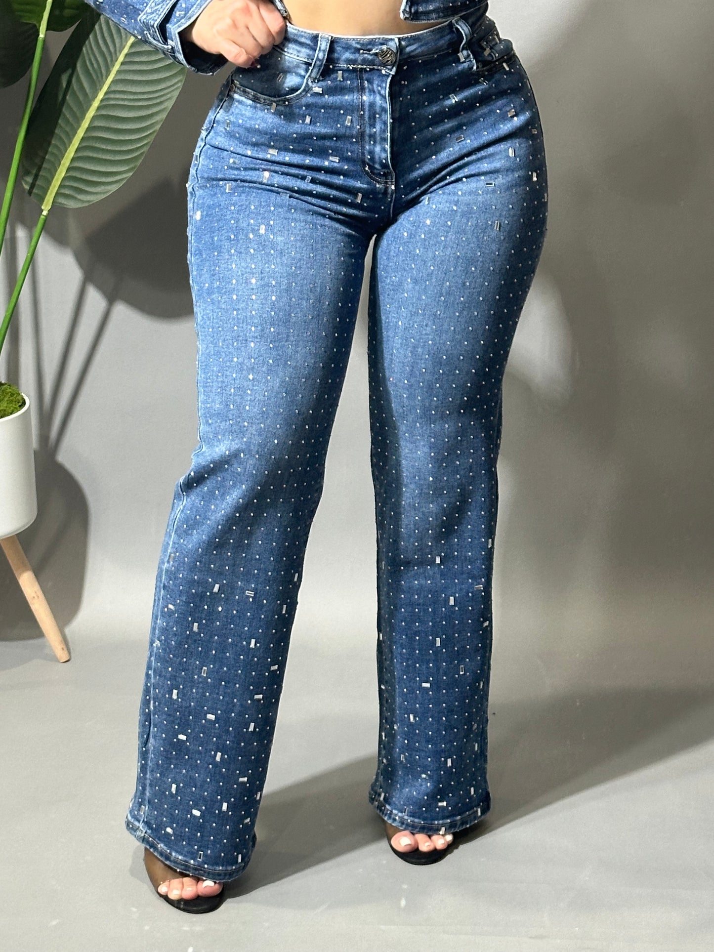 Crystal Denim Jeans