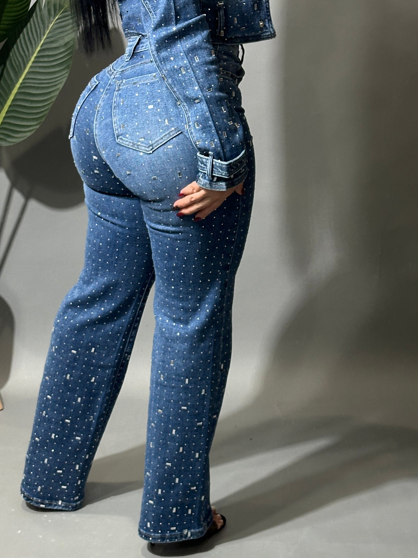 Crystal Denim Jeans